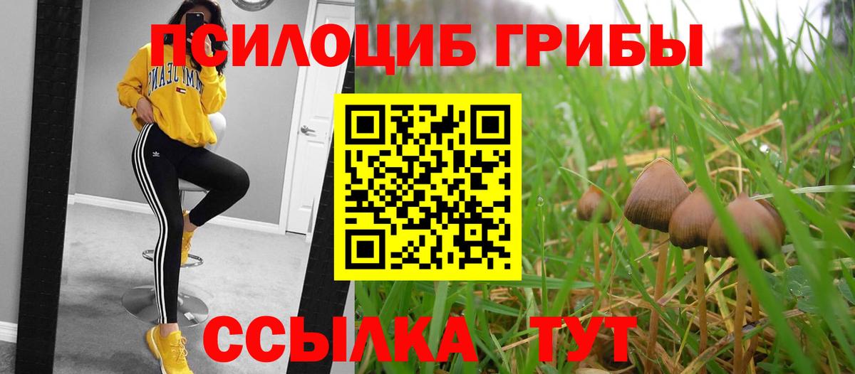 Магнитогорск  Псилоцибиновые грибы мицелий  Вход с VPN  Псилоцибиновые грибы мухоморы 